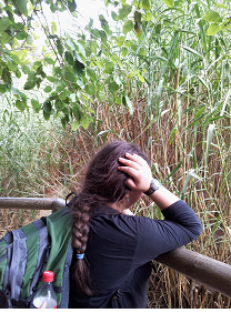 פרחי באך וגיל ההתבגרות פרחי באך וגיל ההתבגרות