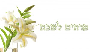 פרחי שושן עם הכיתוב פורים לשבת